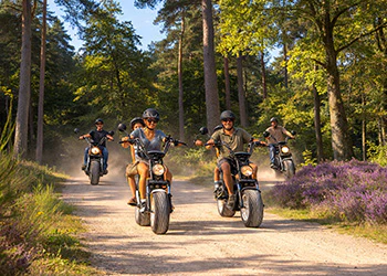 Groep mensen rijdt op elektrische scooters door bos met heide. Zonnige dag.